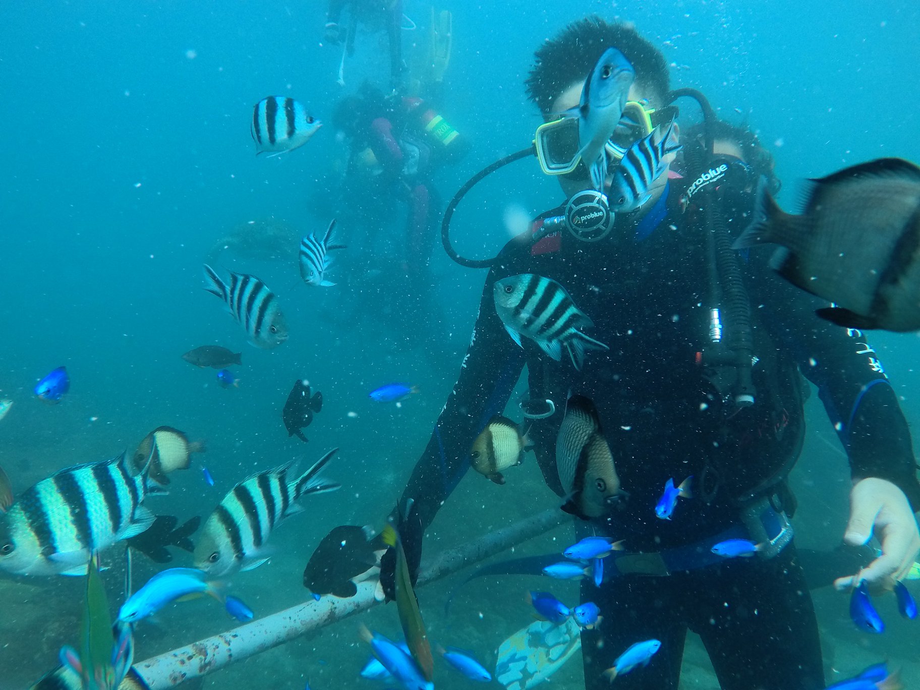 澎湖旅遊-體驗潛水(無證照)